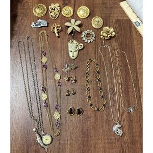 Vtg. Jewelry Lot Of 21 Necklaces, Brooch's & Earrings Sarah Coventry And More